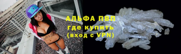 прущие грибы Абаза