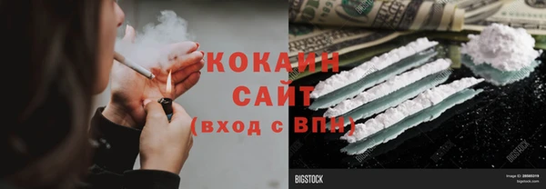 прущие грибы Абаза