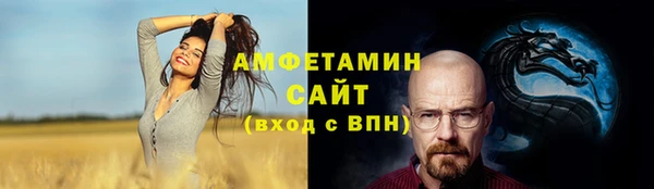 прущие грибы Абаза