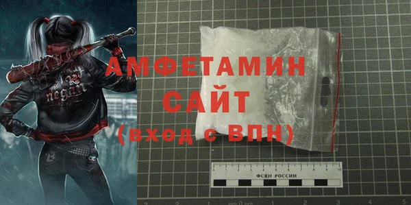 прущие грибы Абаза