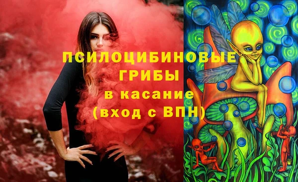 прущие грибы Абаза