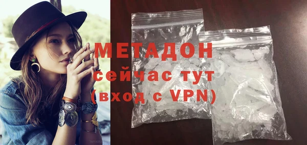 прущие грибы Абаза