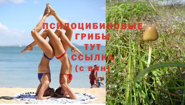 MDMA Абинск