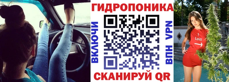 Каннабис OG Kush Дмитровск